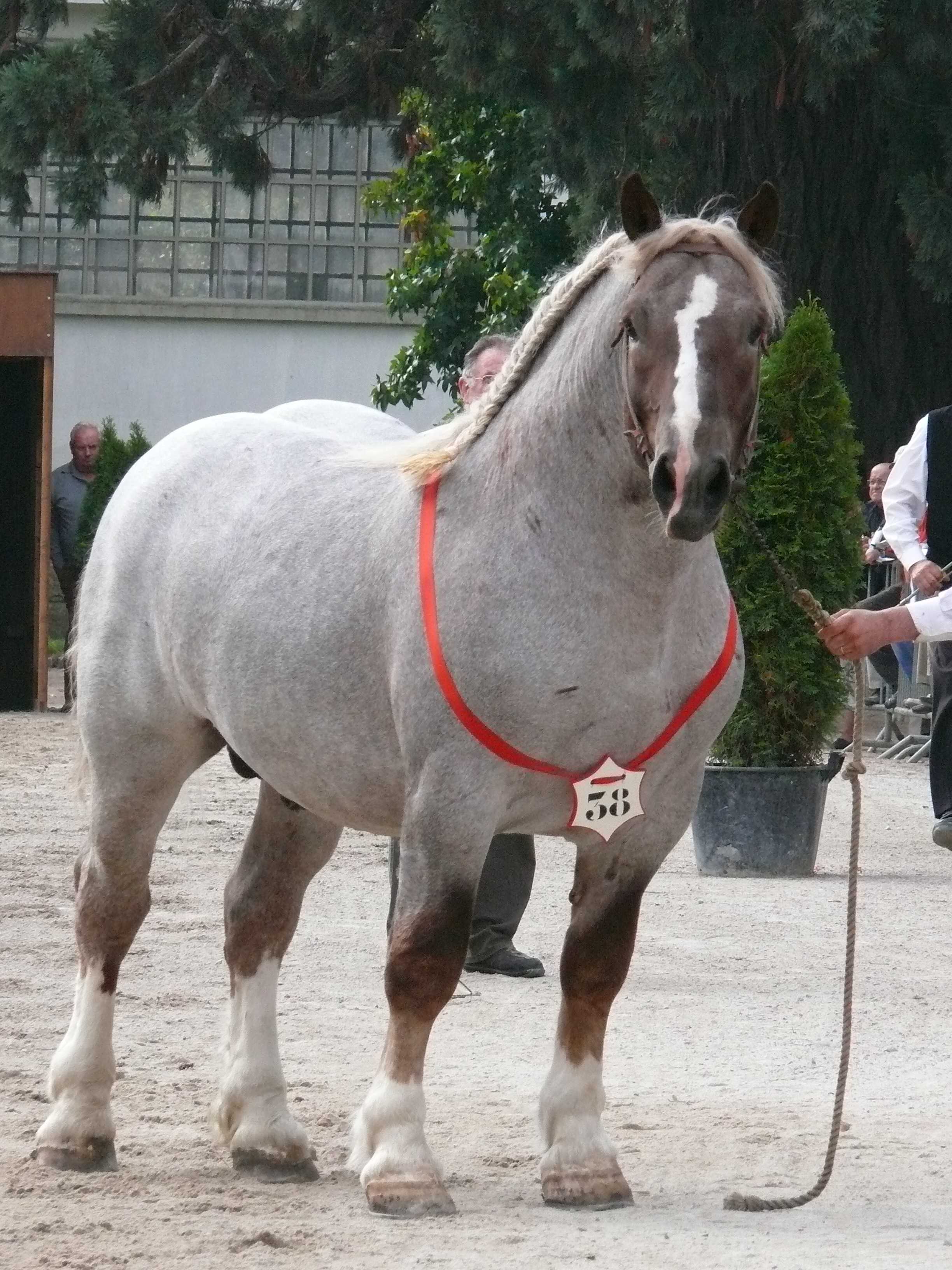 Qualif de Querdanet